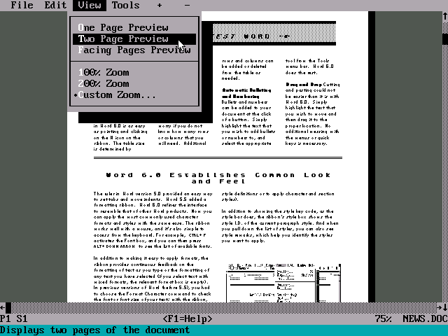 Microsoft Word 6 for DOS - Preview